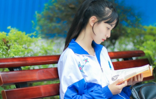 哈罗内置：小巴西,月